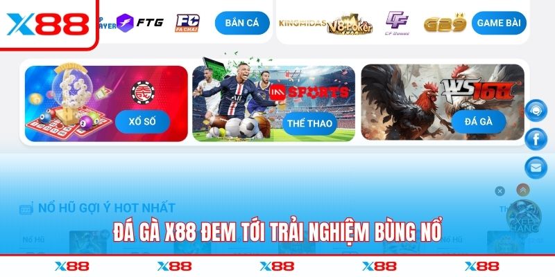 Đá gà X88 đem tới trải nghiệm bùng nổ